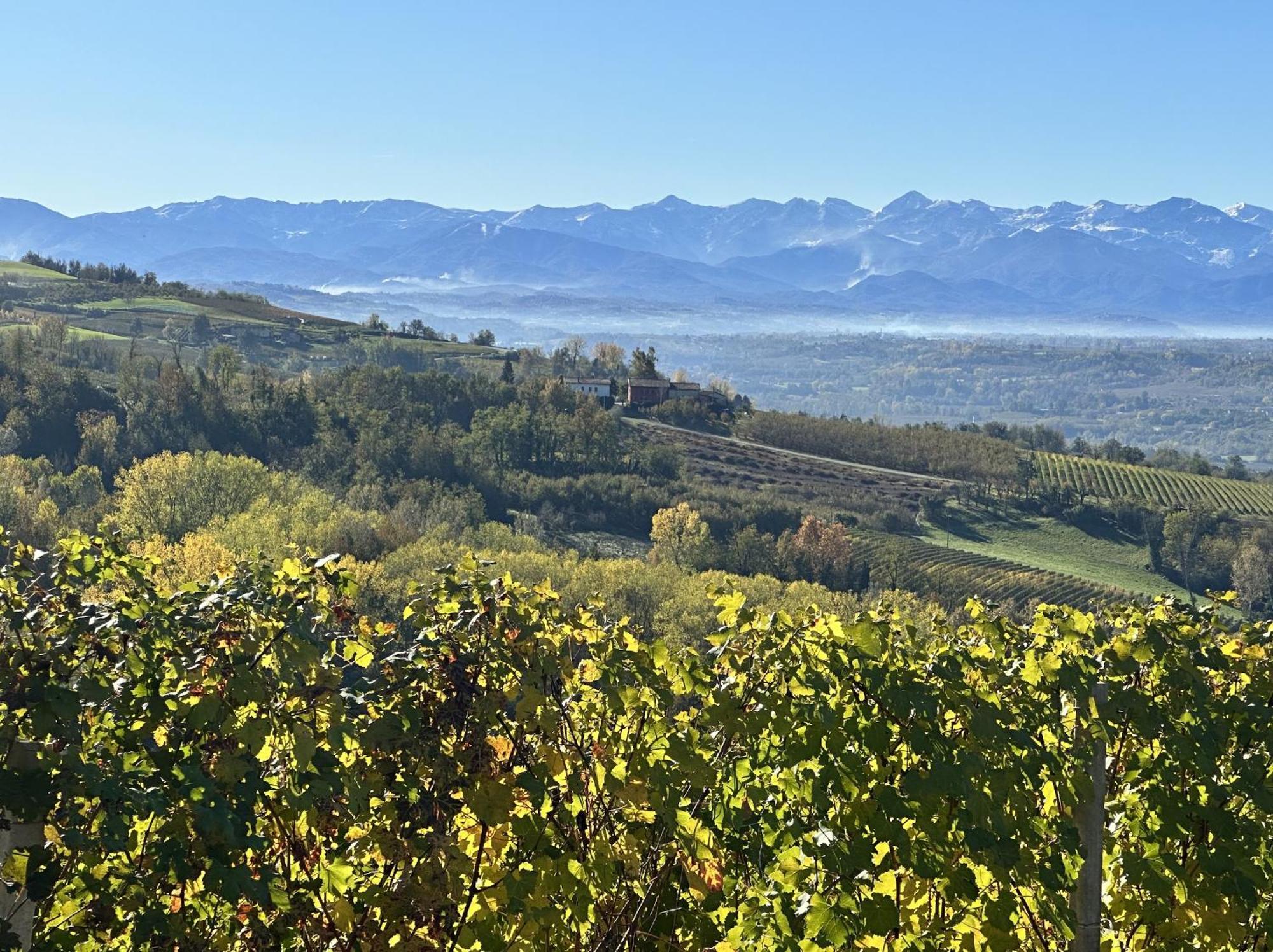 诺韦洛Just Langhe Casa Barolo别墅 外观 照片