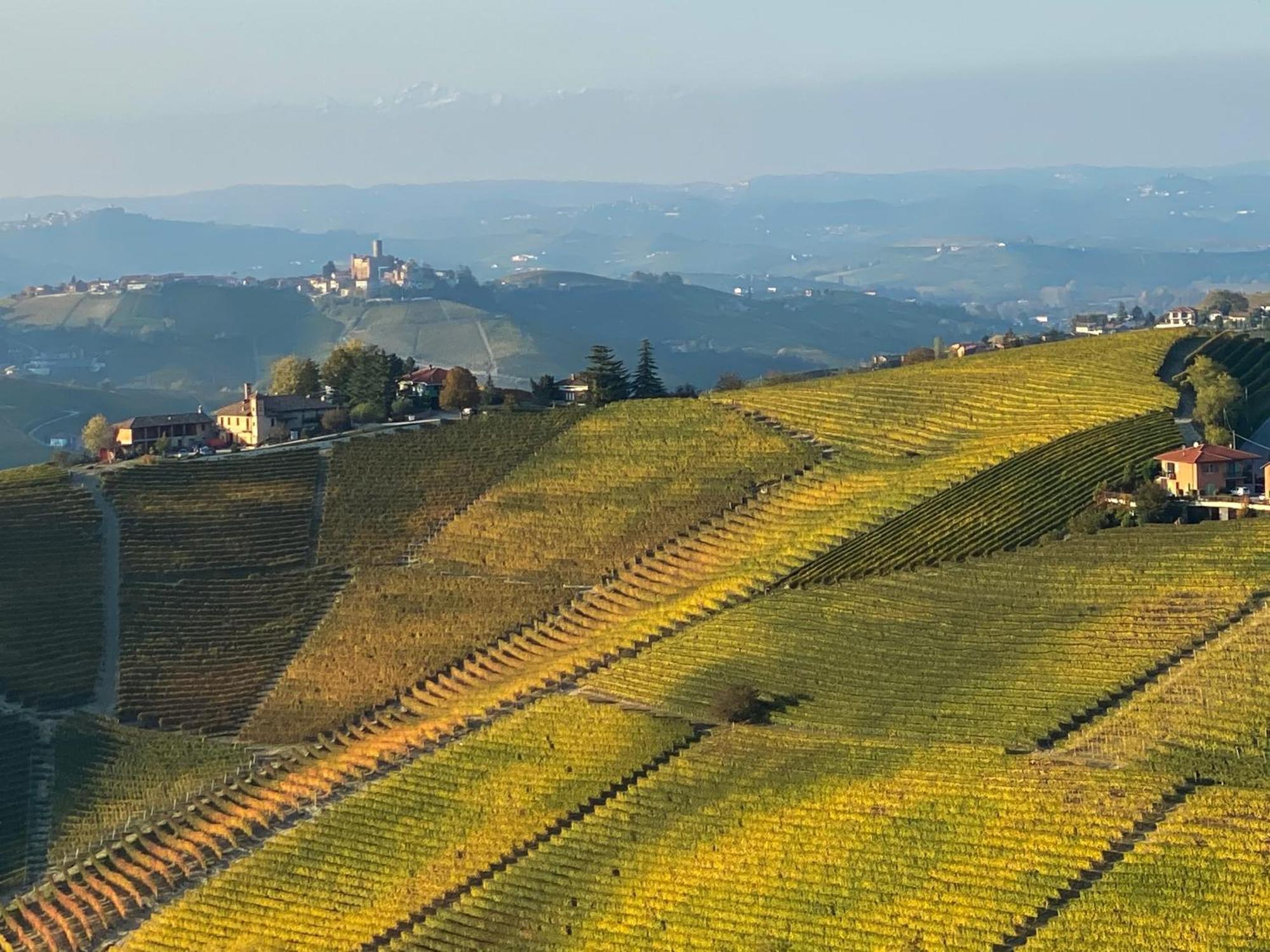 诺韦洛Just Langhe Casa Barolo别墅 外观 照片