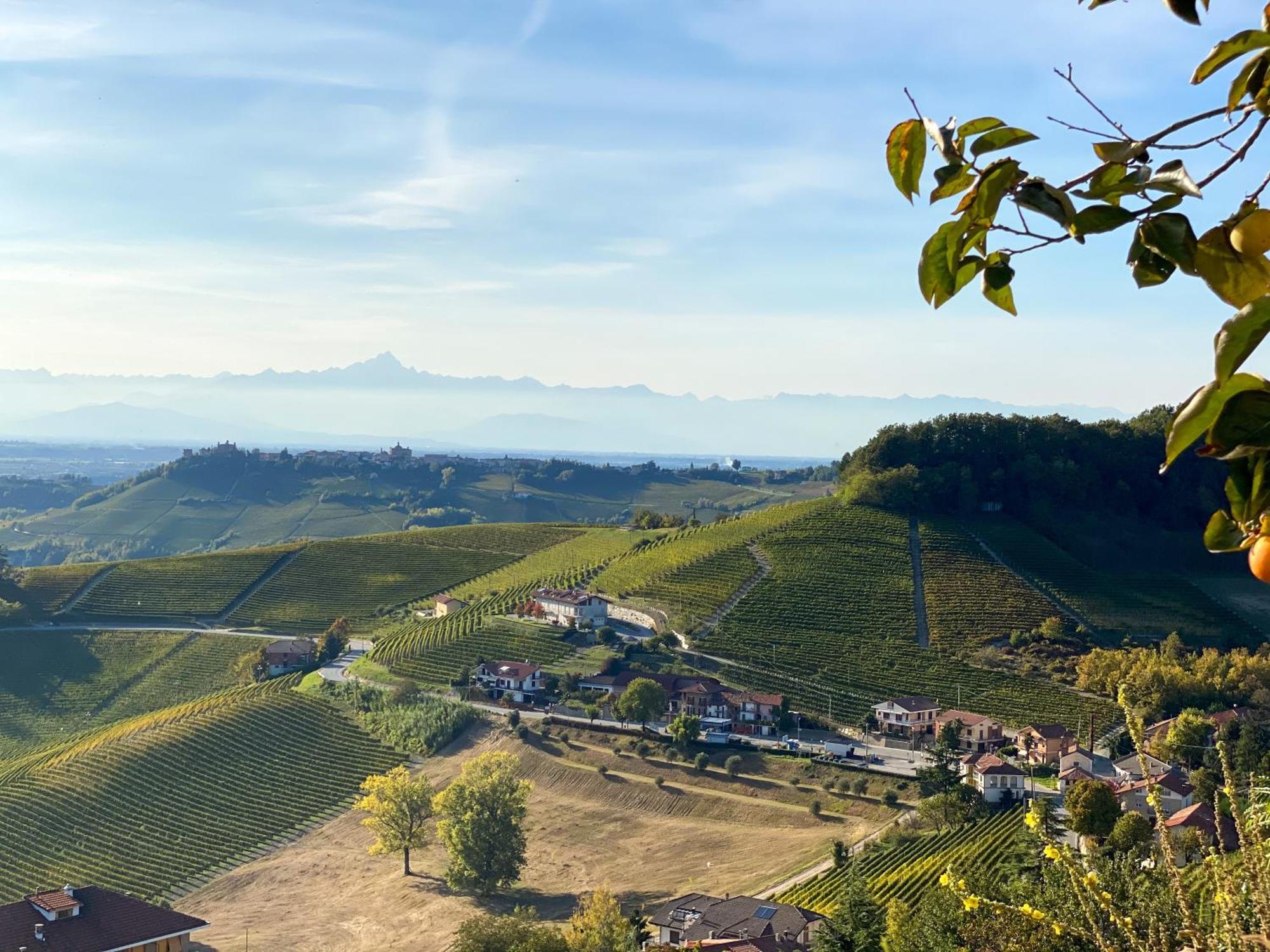 诺韦洛Just Langhe Casa Barolo别墅 外观 照片