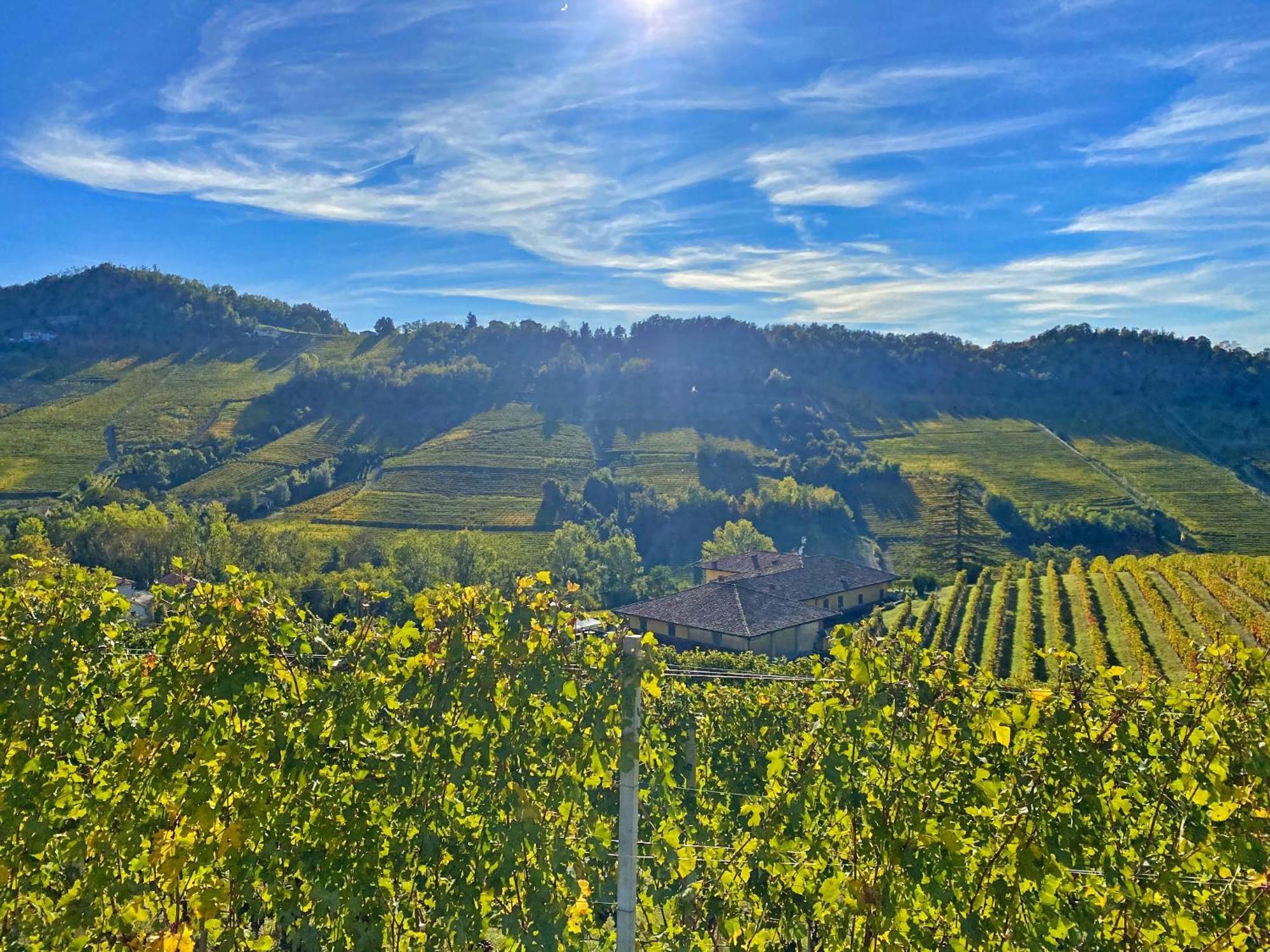 诺韦洛Just Langhe Casa Barolo别墅 外观 照片